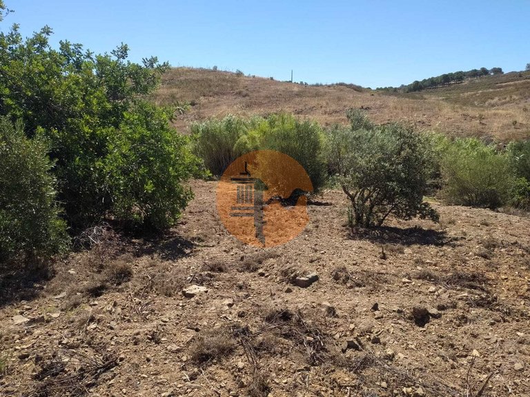 Plot for Sale in Azinhal, Castro Marim, Portugal 11
