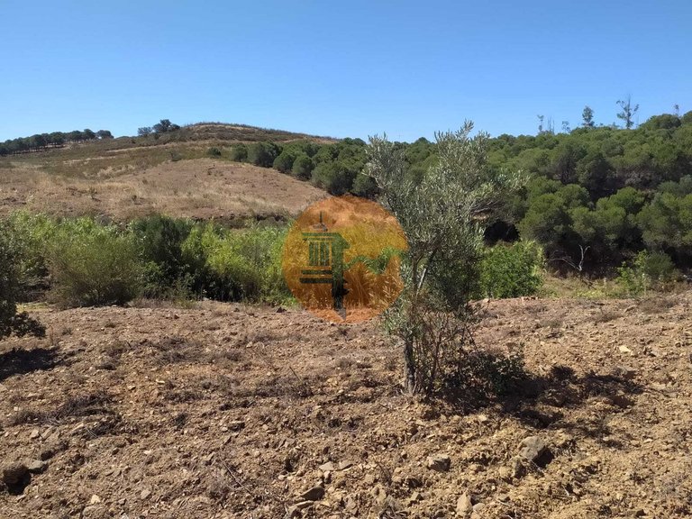 Plot for Sale in Azinhal, Castro Marim, Portugal 19