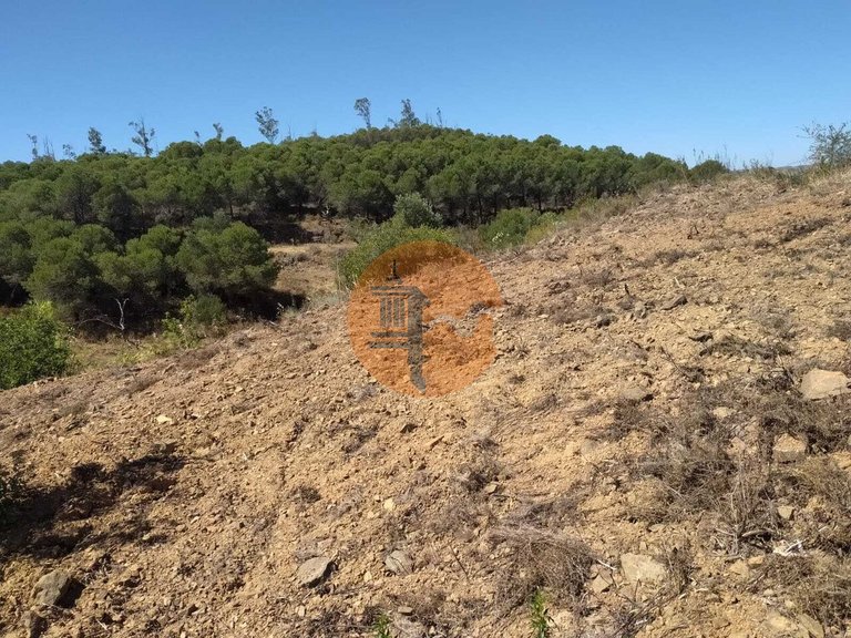 Plot for Sale in Azinhal, Castro Marim, Portugal 12