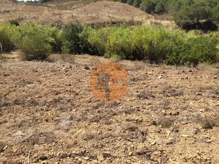 Plot for Sale in Azinhal, Castro Marim, Portugal 14