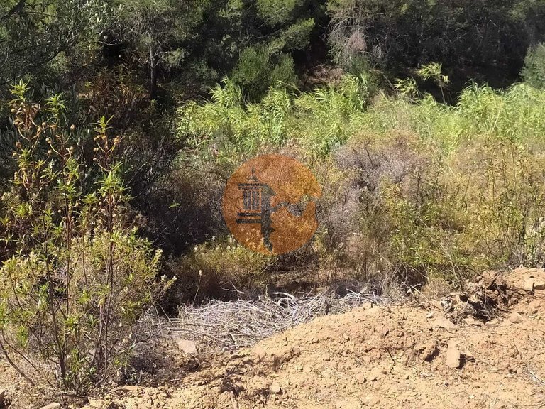 Plot for Sale in Azinhal, Castro Marim, Portugal 17