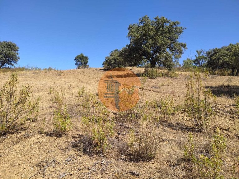 Plot for Sale in Azinhal, Castro Marim, Portugal 6