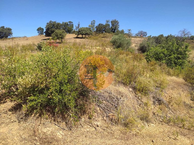 Plot for Sale in Azinhal, Castro Marim, Portugal 8