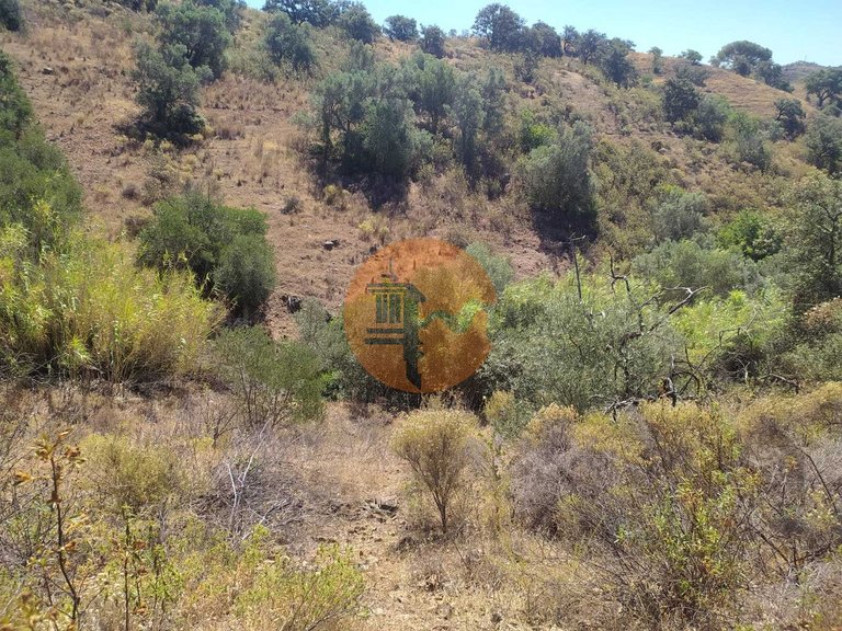 Plot for Sale in Azinhal, Castro Marim, Portugal 9
