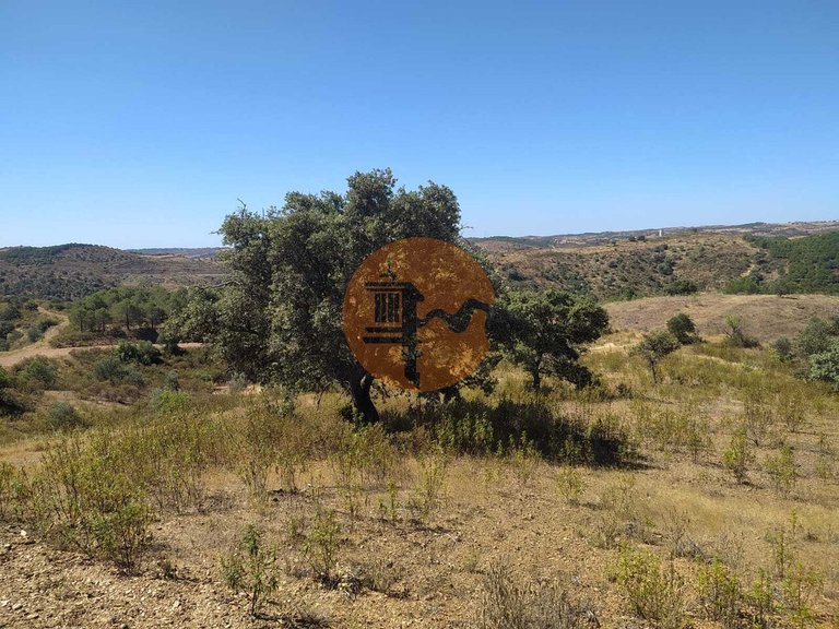 Plot for Sale in Azinhal, Castro Marim, Portugal 15