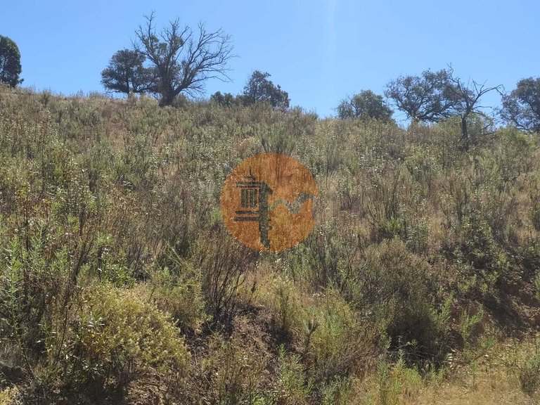Plot for Sale in Azinhal, Castro Marim, Portugal 18