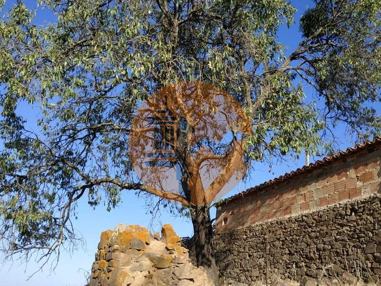 Plot for Sale in Odeleite, Castro Marim, Portugal 48
