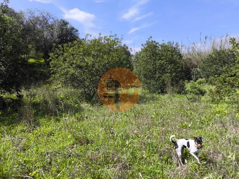 Plot for Sale in Santa Catarina Da Fonte Do Bispo, Tavira, Portugal 10
