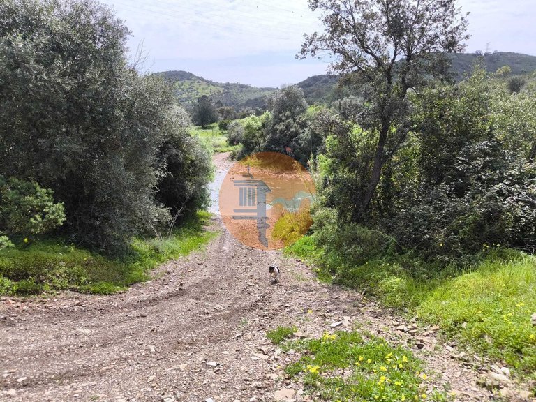 Plot for Sale in Santa Catarina Da Fonte Do Bispo, Tavira, Portugal 18
