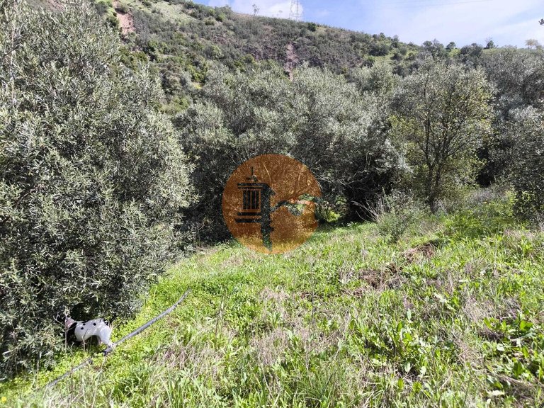 Plot for Sale in Santa Catarina Da Fonte Do Bispo, Tavira, Portugal 35