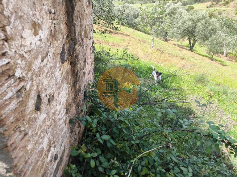 Plot for Sale in Santa Catarina Da Fonte Do Bispo, Tavira, Portugal 38