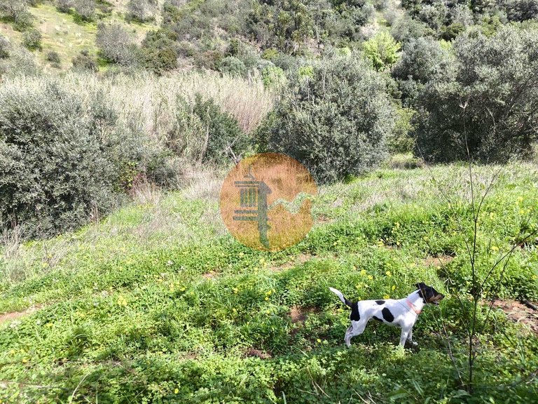 Plot for Sale in Santa Catarina Da Fonte Do Bispo, Tavira, Portugal 41