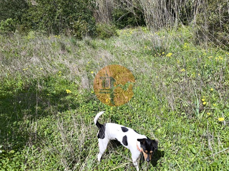 Villa for Sale in Santa Catarina Da Fonte Do Bispo, Tavira, Portugal 48