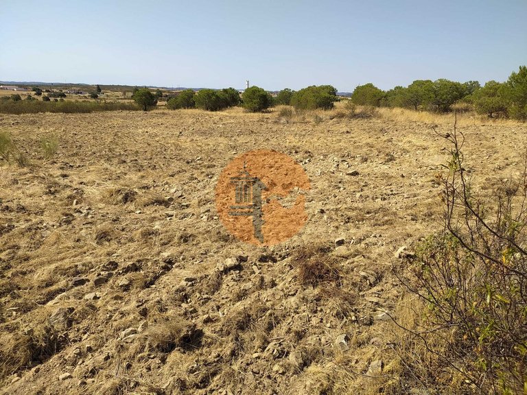 Plot for Sale in Martim Longo, Alcoutim, Portugal 14