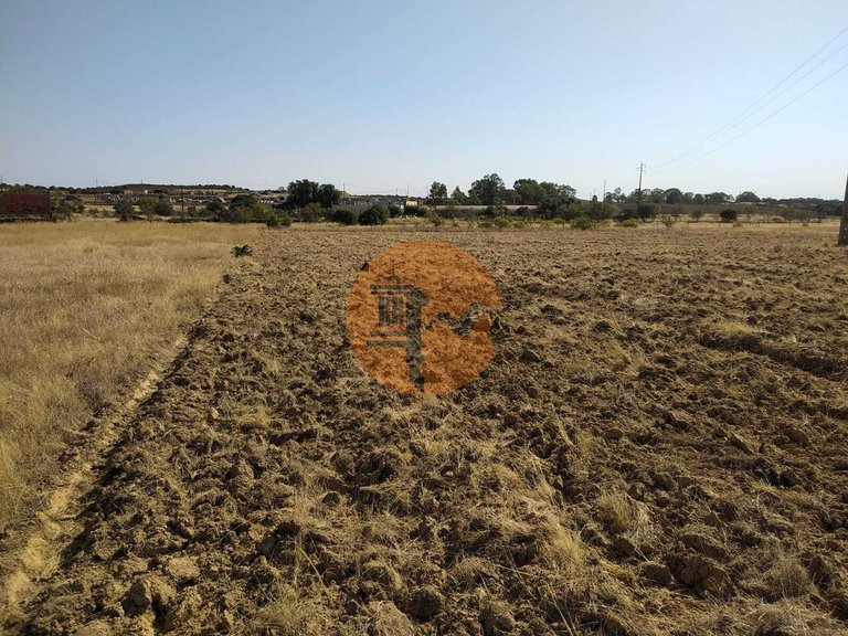Plot for Sale in Martim Longo, Alcoutim, Portugal 3
