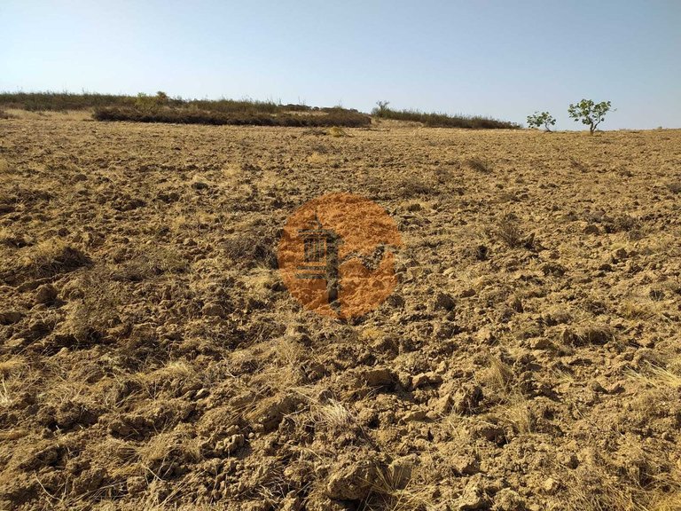Plot for Sale in Martim Longo, Alcoutim, Portugal 4