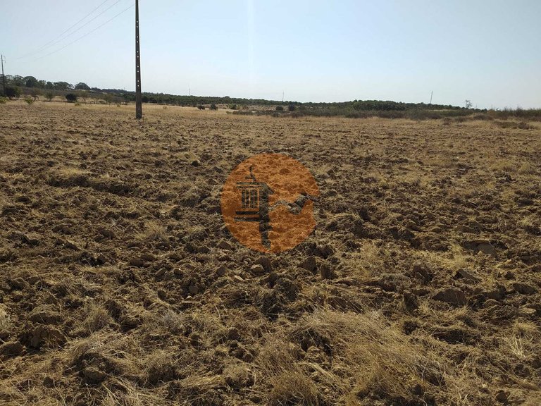 Plot for Sale in Martim Longo, Alcoutim, Portugal 5