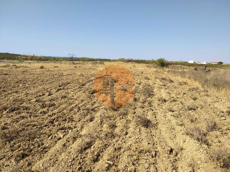 Plot for Sale in Martim Longo, Alcoutim, Portugal 6