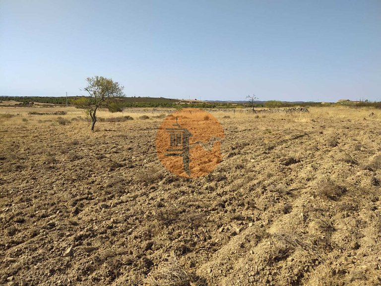 Plot for Sale in Martim Longo, Alcoutim, Portugal 7