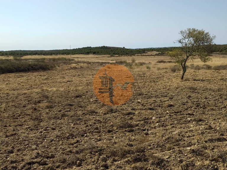 Plot for Sale in Martim Longo, Alcoutim, Portugal 18