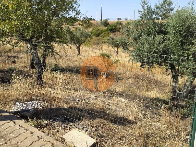 Plot for Sale in Martim Longo, Alcoutim, Portugal 4