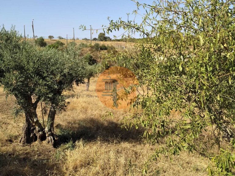Plot for Sale in Martim Longo, Alcoutim, Portugal 5