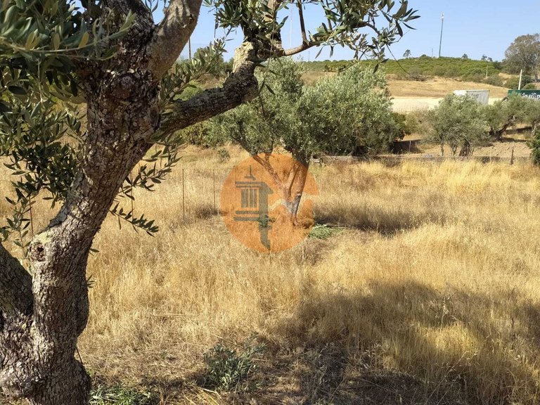 Plot for Sale in Martim Longo, Alcoutim, Portugal 6