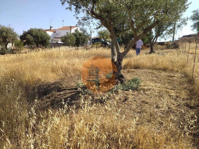 Plot for Sale in Martim Longo, Alcoutim, Portugal 8