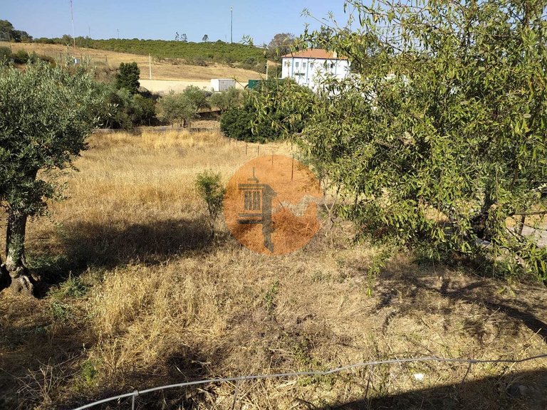 Plot for Sale in Martim Longo, Alcoutim, Portugal 9