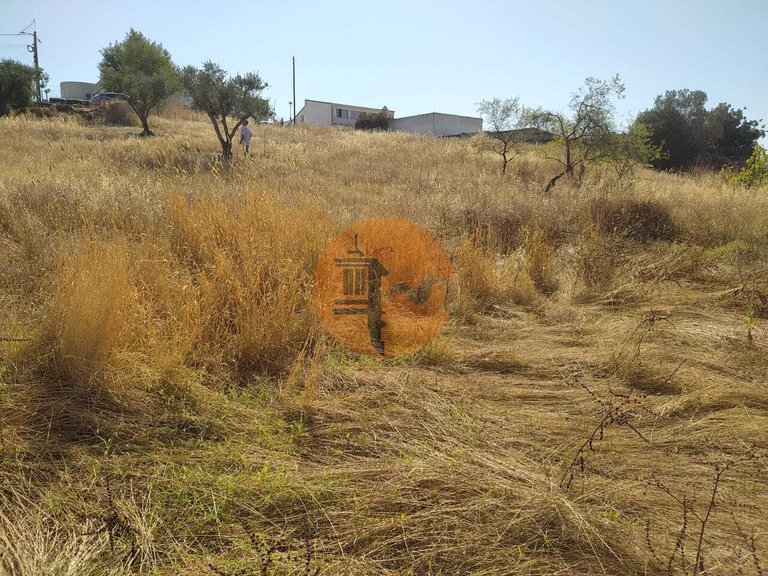 Plot for Sale in Martim Longo, Alcoutim, Portugal 11