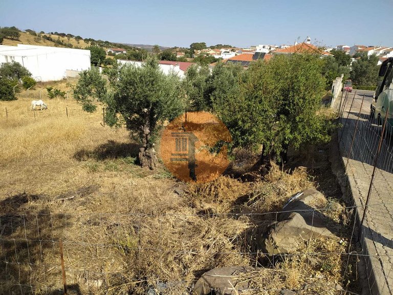 Plot for Sale in Martim Longo, Alcoutim, Portugal 14