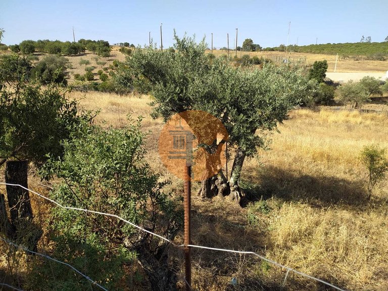 Plot for Sale in Martim Longo, Alcoutim, Portugal 16