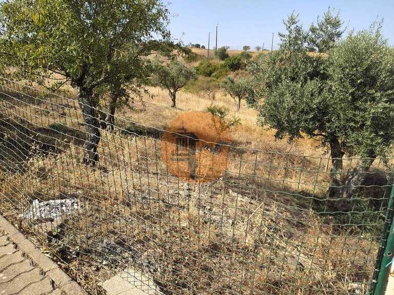 Plot for Sale in Martim Longo, Alcoutim, Portugal 19