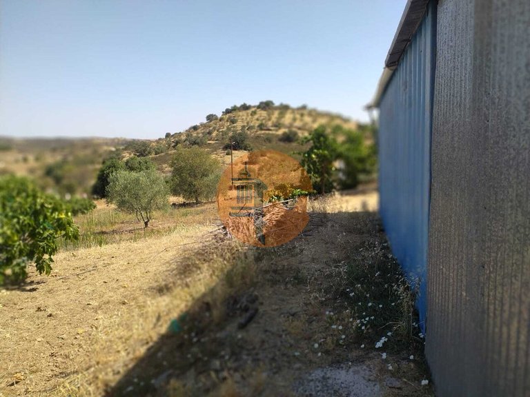 Plot for Sale in Martim Longo, Alcoutim, Portugal 4