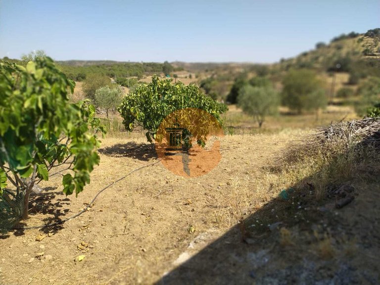 Plot for Sale in Martim Longo, Alcoutim, Portugal 5