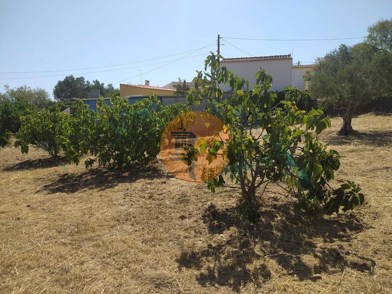 Plot for Sale in Martim Longo, Alcoutim, Portugal 11