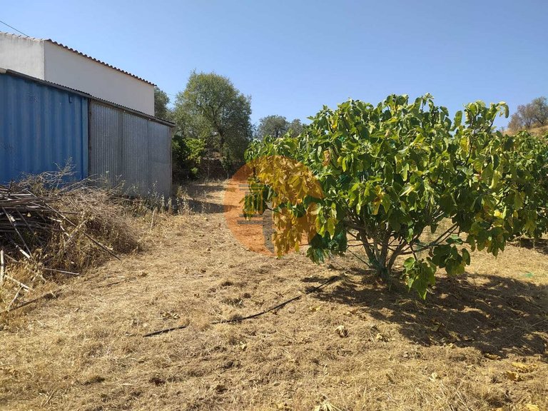 Plot for Sale in Martim Longo, Alcoutim, Portugal 12