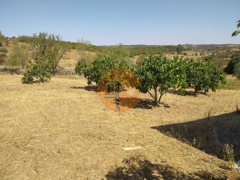 Plot for Sale in Martim Longo, Alcoutim, Portugal 19
