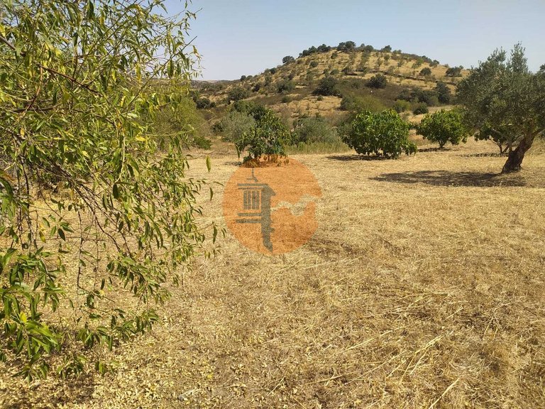 Plot for Sale in Martim Longo, Alcoutim, Portugal 20