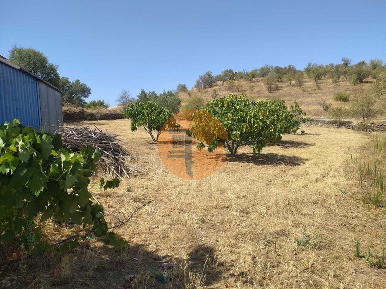 Plot for Sale in Martim Longo, Alcoutim, Portugal 15