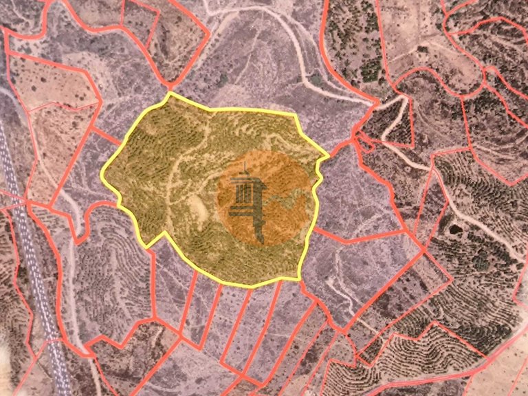 Plot for Sale in Azinhal, Castro Marim, Portugal 5