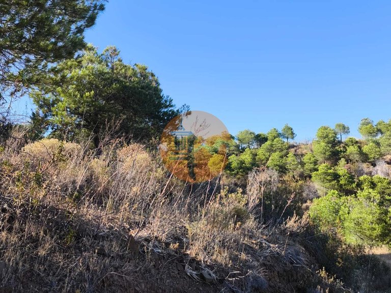 Plot for Sale in Azinhal, Castro Marim, Portugal 3
