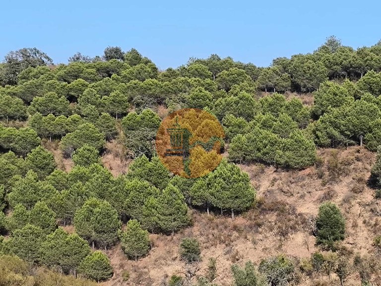 Plot for Sale in Azinhal, Castro Marim, Portugal 4