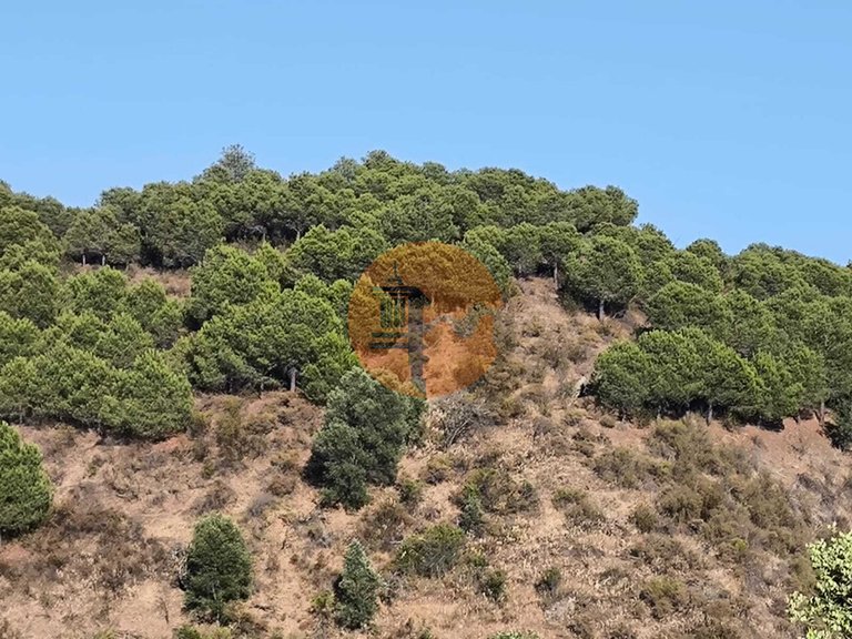 Plot for Sale in Azinhal, Castro Marim, Portugal 9