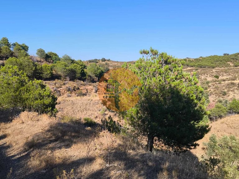Plot for Sale in Azinhal, Castro Marim, Portugal 6