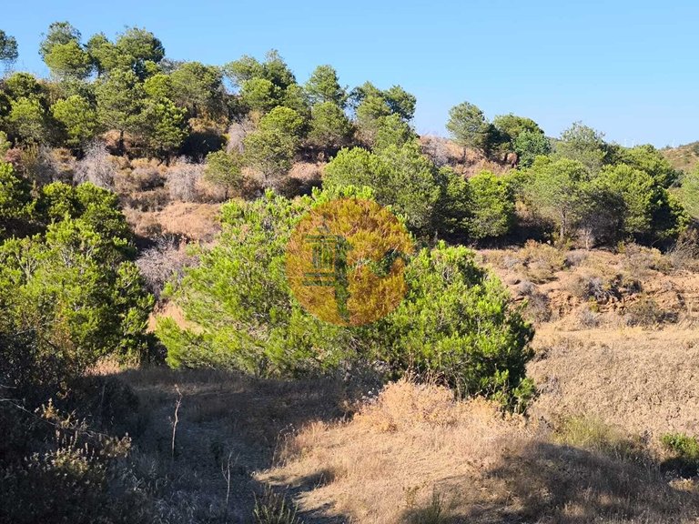 Plot for Sale in Azinhal, Castro Marim, Portugal 8