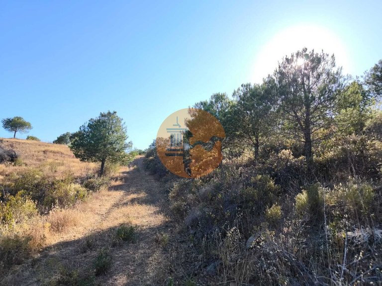 Plot for Sale in Azinhal, Castro Marim, Portugal 1