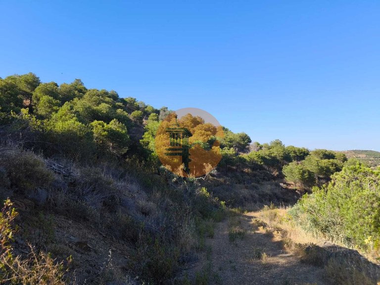 Plot for Sale in Azinhal, Castro Marim, Portugal 15