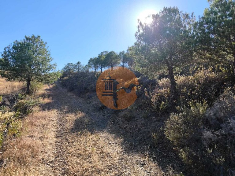 Plot for Sale in Azinhal, Castro Marim, Portugal 16