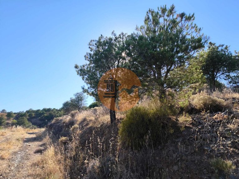 Plot for Sale in Azinhal, Castro Marim, Portugal 19